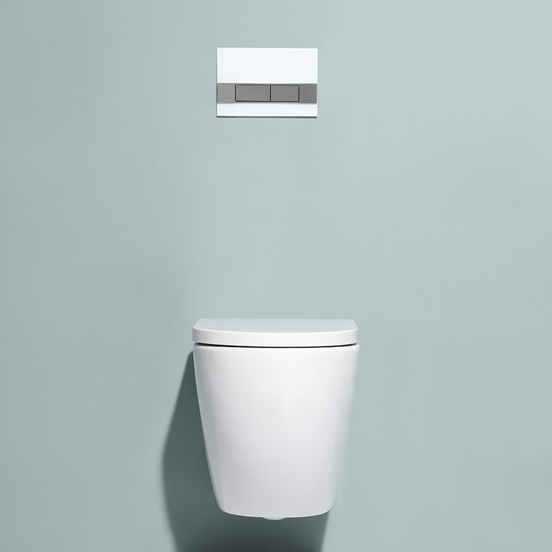 BF2469 Wall Hung Toilet Rimless Ceramic Toilet with Washdown Flushing Soft Close UF Seat