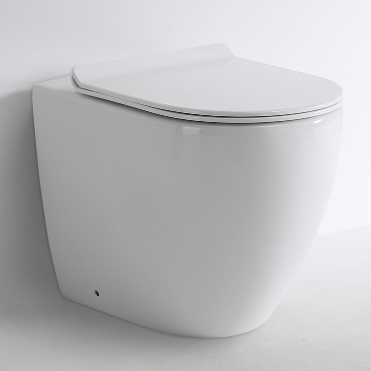 Wall Hung Rimless Vortex Flush Toilet Soft Close Seat Tornado Flushing WC BF2518