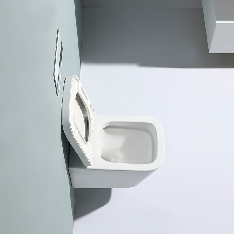 Modern Rimless Wall Hung Toilet Ceramic Washdown WC with Soft Close Seat Compact Bathroom Design