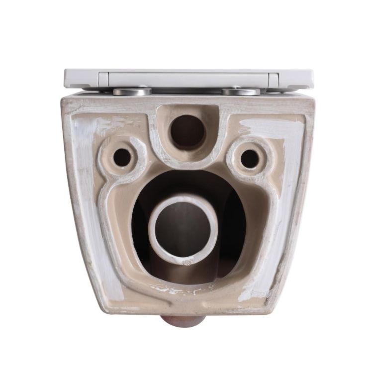 BF2418 Compact Ceramic Wall-Hung Toilet with Washdown Flush and Soft-Close UF Seat
