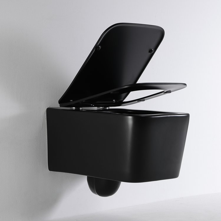 Matte Black Rimless Wall Hung Toilet Soft Close UF Seat Ceramic Washdown WC BF2467DB-MATT
