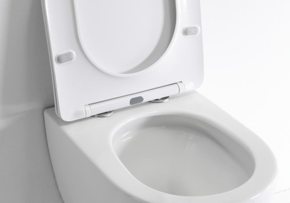 Wall-hung Toilet
