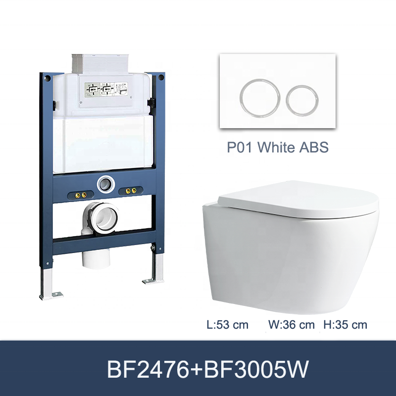 BF2476 Wall Hung Toilet Ceramic Toilet with Washdown Flushing and Soft Close UF Seat