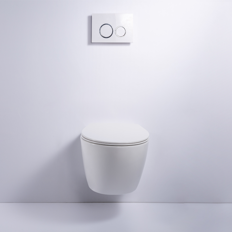 Modern Rimless Wall Hung Ceramic Toilet Bowl Washdown Bathroom WC