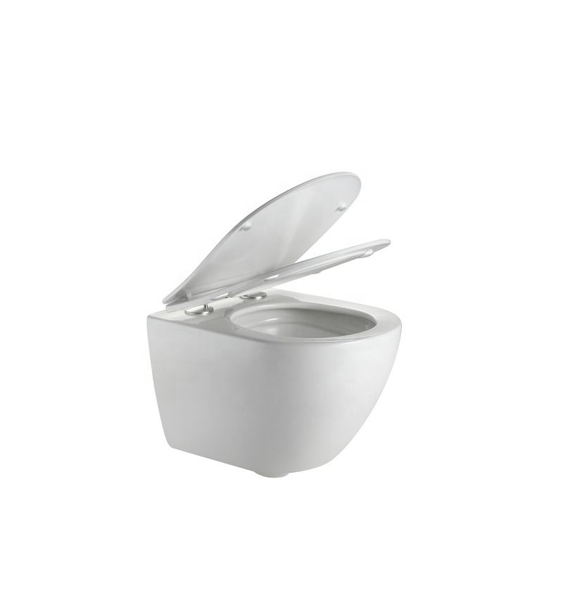 BF2418A Vaso WC Sospeso a Parete con Scarico Silenzioso e Potente