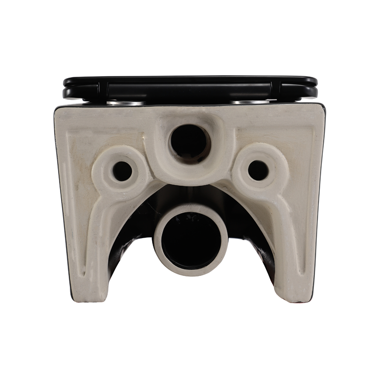 Matte Black Rimless Wall Hung Toilet Soft Close UF Seat Ceramic Washdown WC BF2467DB-MATT
