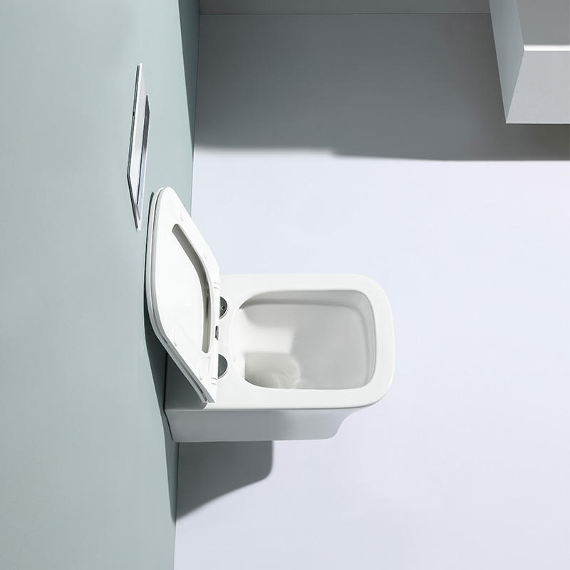 Wall-Hung Toilet