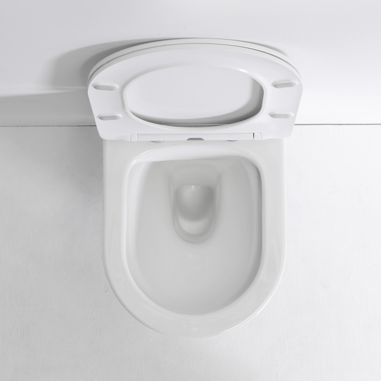 BF2422 Wall Hung Ceramic Toilet 480×355×340mm Washdown Flushing 3/6L Soft Close UF Seat
