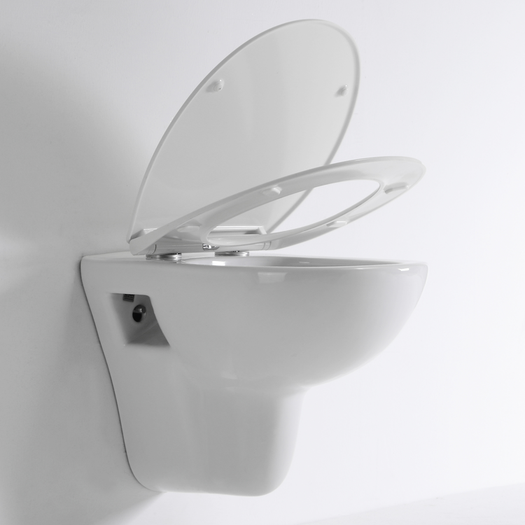 BF2420D Rimless Wall Hung Ceramic Toilet 530×360×350mm Washdown & Rimless 3/6L Soft Close UF Seat