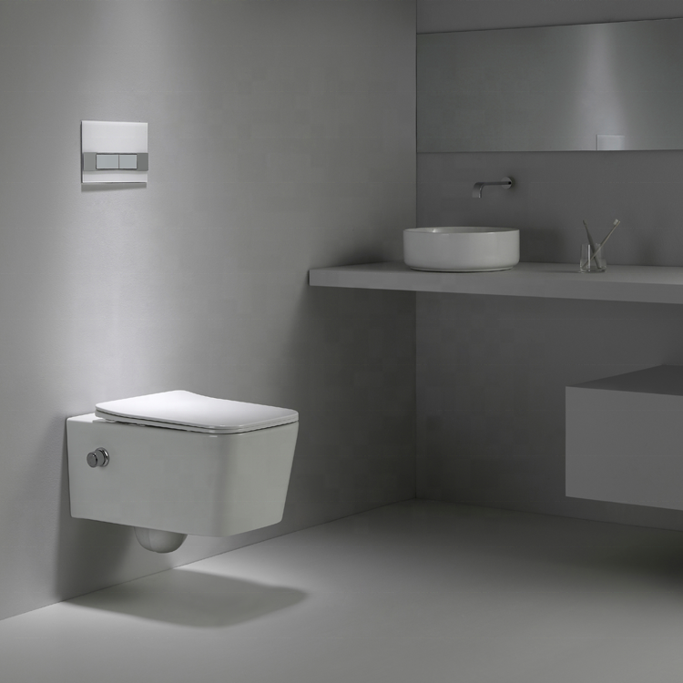 BF2468D-BD Wall-Hung Toilet with Built-in Shower Design, Nano Coating and Washdown Flushing