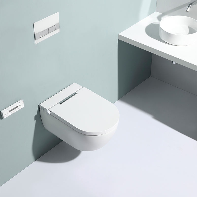 BF2498 Toilette Suspendue Moderne