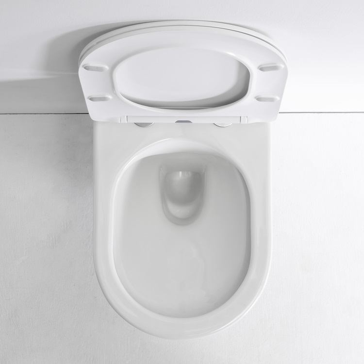 BF2442 Wall-Hung Ceramic Toilet with Gravity Flush, 3/6L Dual Flush and Soft-Close UF Seat
