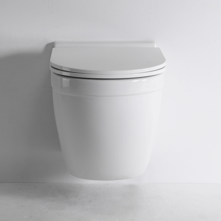 Modern Wall Mounted Ceramic Toilet Dual Flush Vortex Flushing P-Trap WC BF2442D
