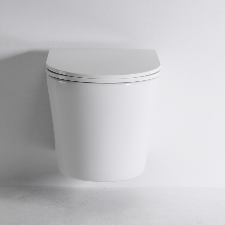 BF2422 Wall Hung Ceramic Toilet 480×355×340mm Washdown Flushing 3/6L Soft Close UF Seat
