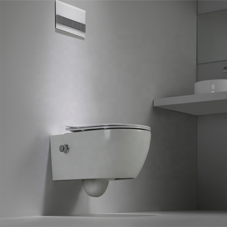 BF2468D-BD Wall-Hung Toilet with Built-in Shower Design, Nano Coating and Washdown Flushing