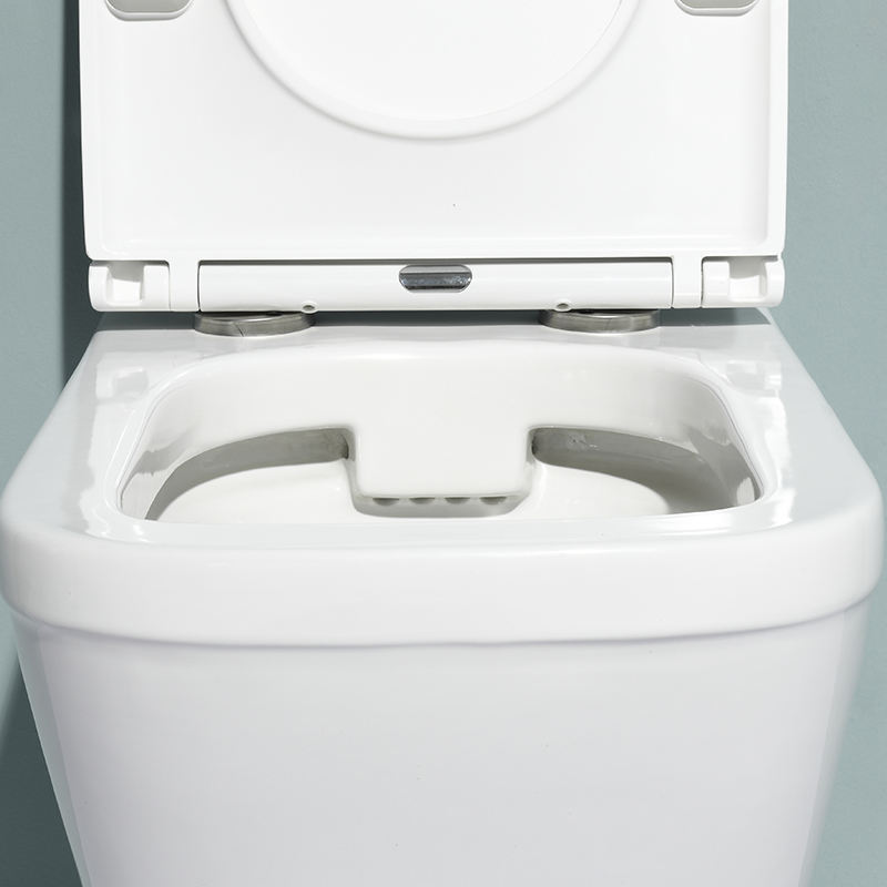 BF2472 Wall-Hung Toilet 530×345×350mm Washdown Flushing Soft Close UF Seat