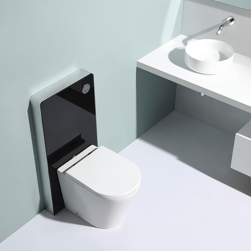 BF2580 Back-to-Wall Ceramic Toilet, 560×360×410 mm, 3.0–6.0 L Washdown Flush, Soft-Close UF Seat