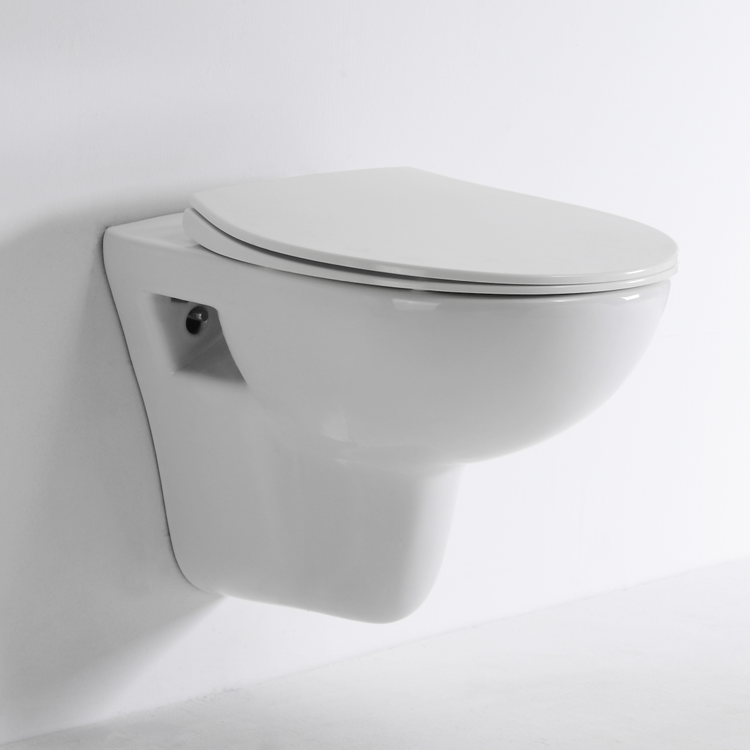 BF2420D Rimless Wall Hung Ceramic Toilet 530×360×350mm Washdown & Rimless 3/6L Soft Close UF Seat