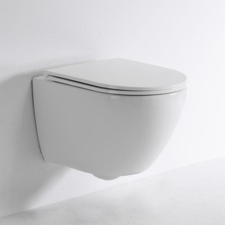 BF2418 Compact Ceramic Wall-Hung Toilet with Washdown Flush and Soft-Close UF Seat