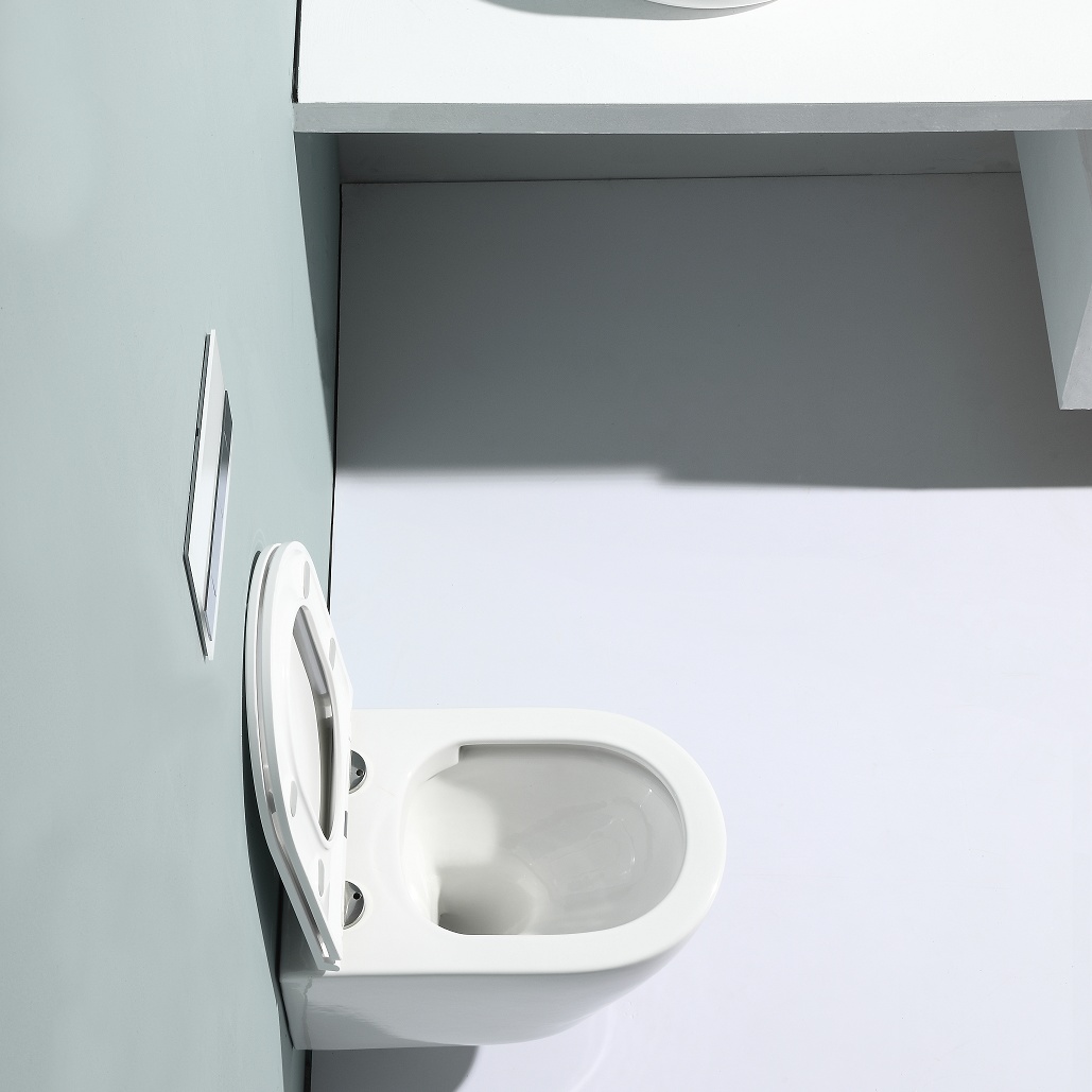 2476 Rimless Wall Hung Toilet