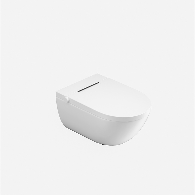 BF2498 Toilette Suspendue Moderne