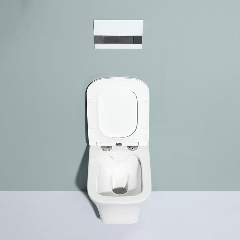 Wall-Hung Toilet