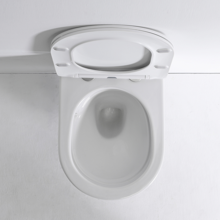Modern Wall Mounted Ceramic Toilet - Model BF2419E