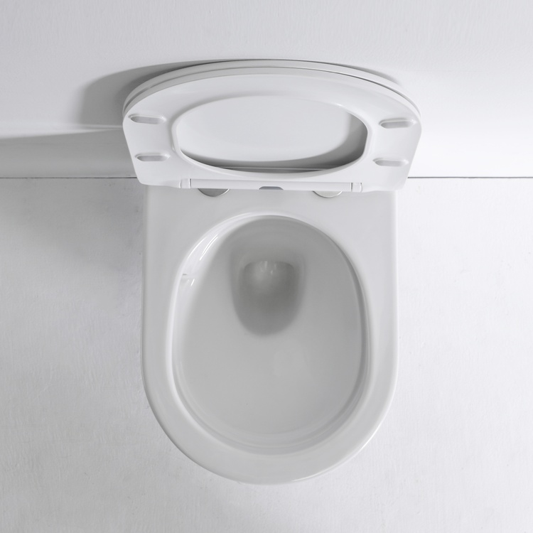 BF2419E Wall Hung Toilet - Compact Oval Ceramic WC with Hygienic Rimless Design