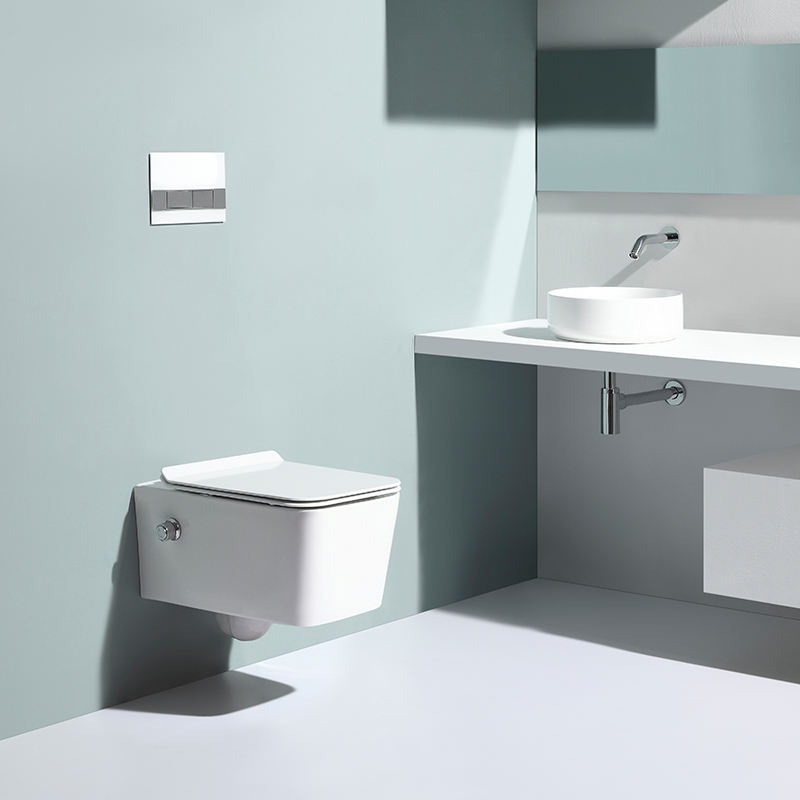 Wall Hung Toilet with Bidet Spray – Model BF2467E-BD