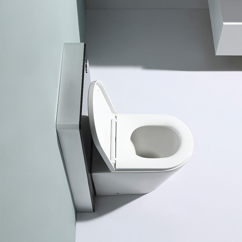 BF2580 Back-to-Wall Ceramic Toilet, 560×360×410 mm, 3.0–6.0 L Washdown Flush, Soft-Close UF Seat
