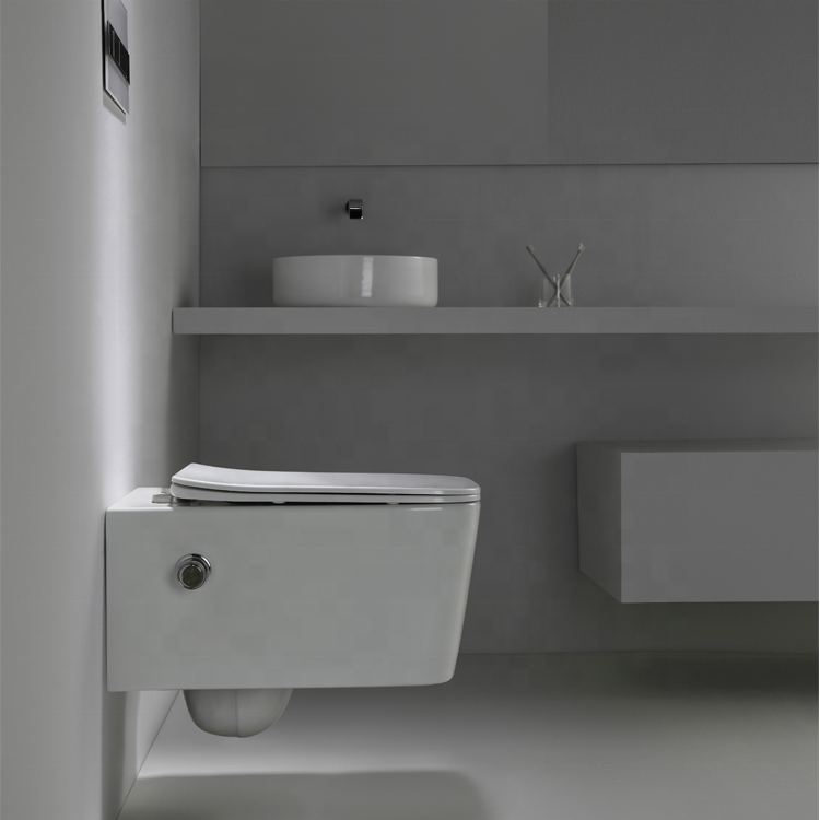 BF2468D-BD Wall-Hung Toilet with Built-in Shower Design, Nano Coating and Washdown Flushing