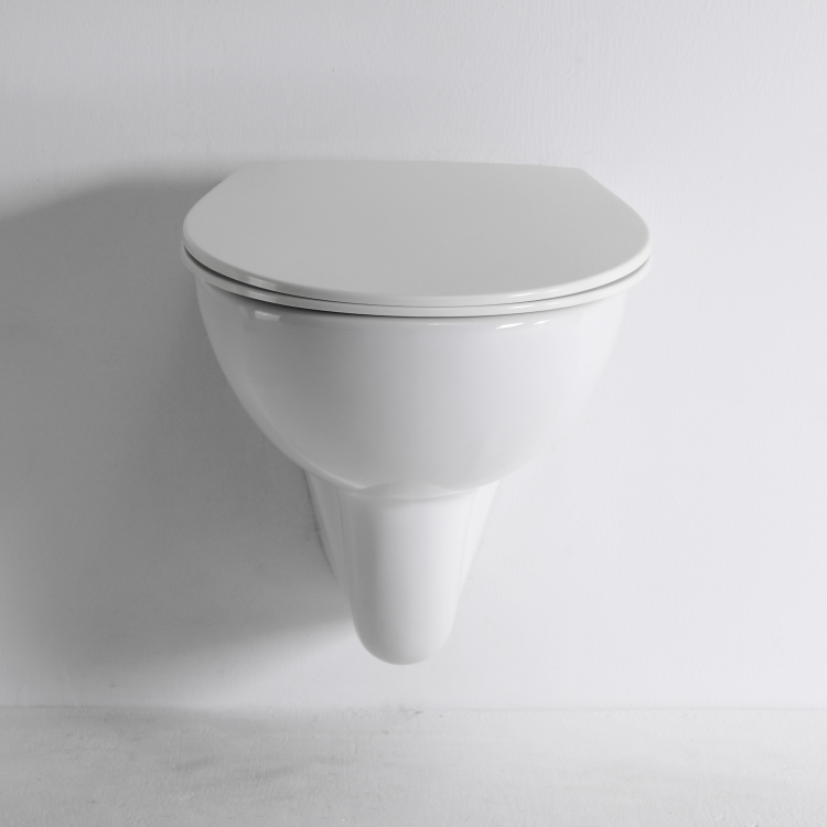 BF2420D Rimless Wall Hung Ceramic Toilet 530×360×350mm Washdown & Rimless 3/6L Soft Close UF Seat