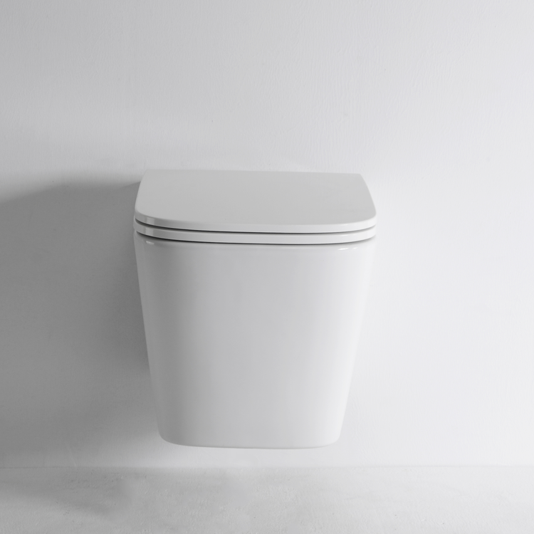 BF2417 Wall Hung Toilet 3/6L Washdown Ceramic WC with Soft Close UF Seat