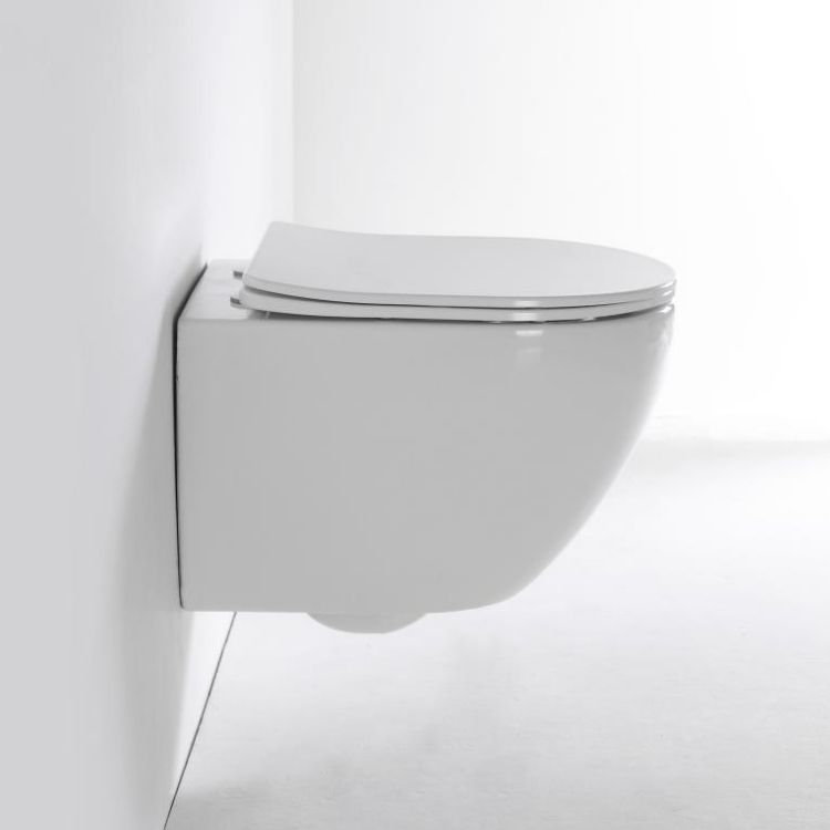 BF2418D Back to Wall Toilet with Rimless Washdown & Soft Close UF Cover