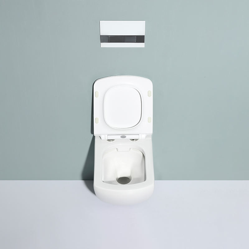 BF2496 Modern Ceramic Wall Hung Toilet with Soft Close UF Seat and Washdown Flushing
