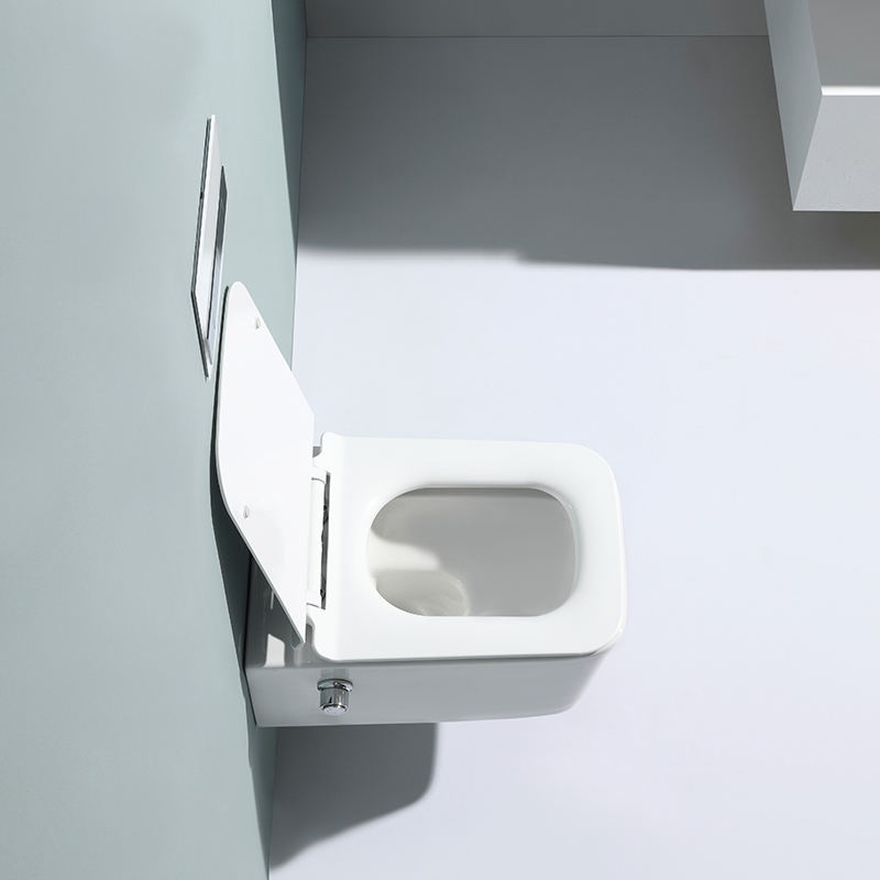 Wall Hung Toilet with Bidet Spray – Model BF2467E-BD