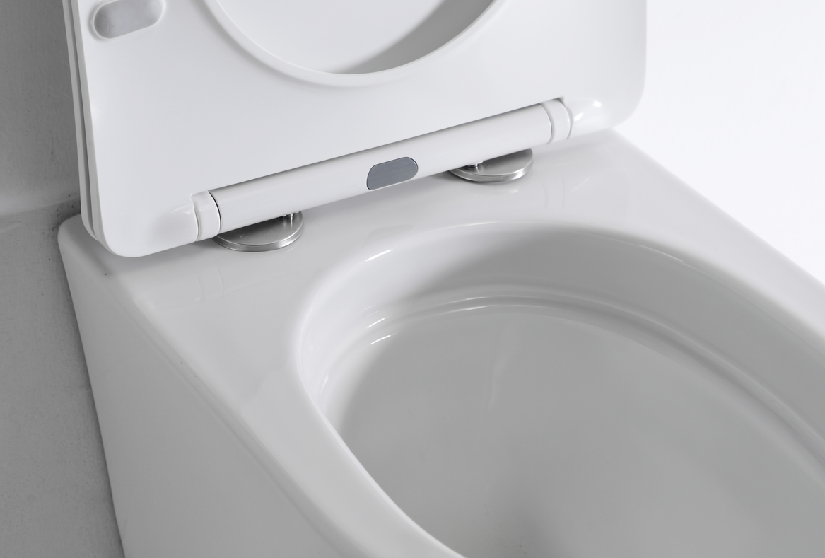 Modern Wall Mounted Ceramic Toilet - Model BF2419E