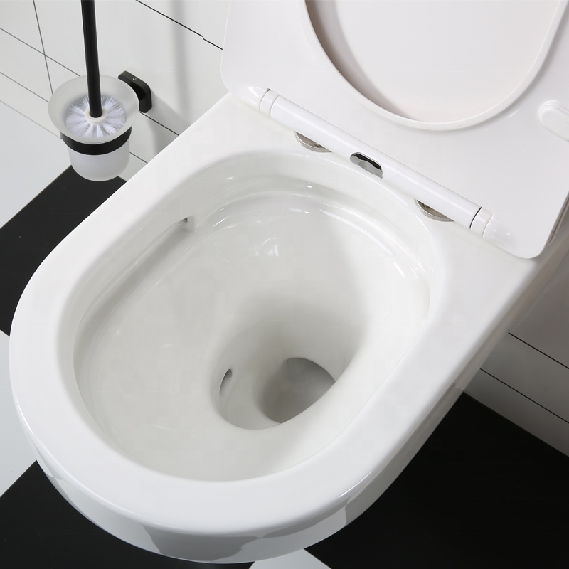 BF2462 Wall Hung Toilet with Soft Close Seat