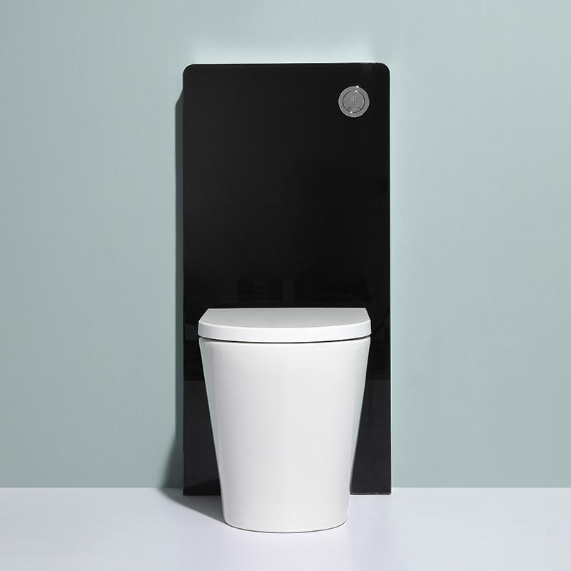BF2580 Back-to-Wall Ceramic Toilet, 560×360×410 mm, 3.0–6.0 L Washdown Flush, Soft-Close UF Seat