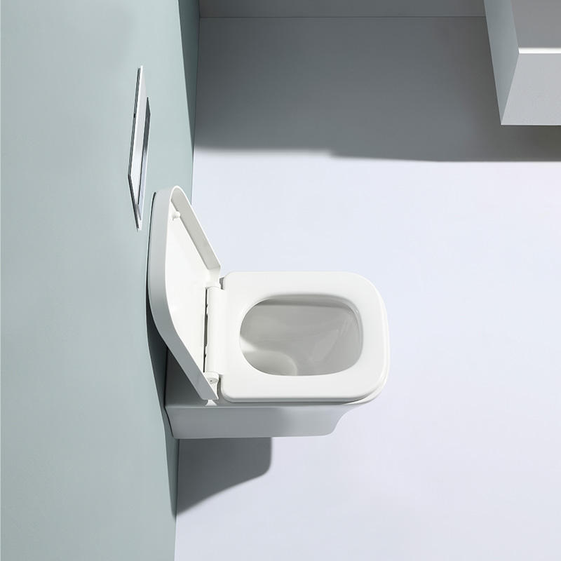 BF2482 Wall-Hung Ceramic Toilet with Soft-Close UF Seat, 3/6L Washdown Flush