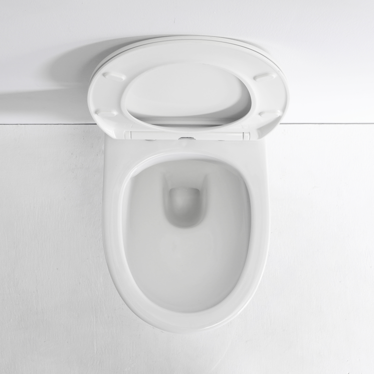 BF2420D Rimless Wall Hung Ceramic Toilet 530×360×350mm Washdown & Rimless 3/6L Soft Close UF Seat