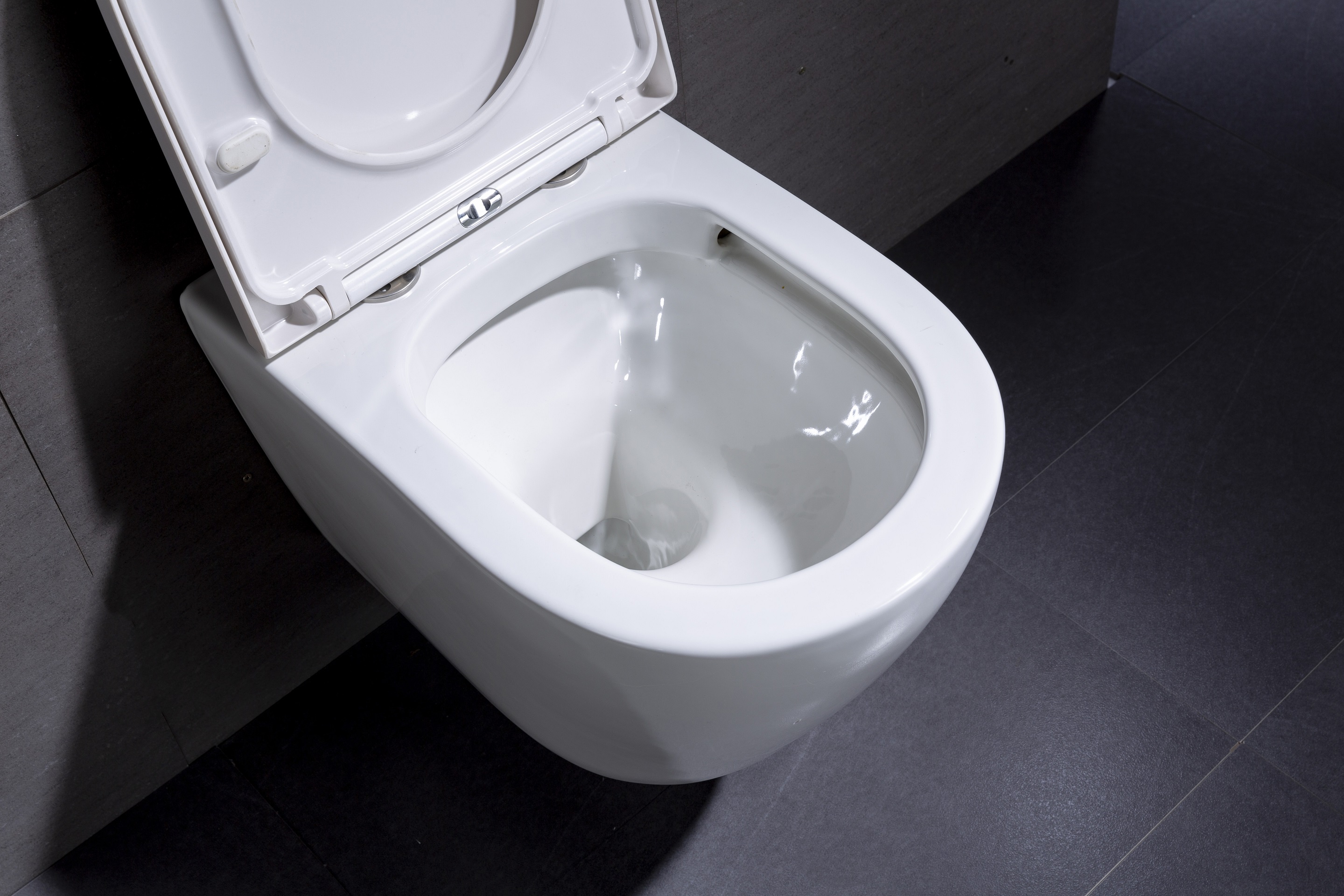 BF2476 Wall Hung Toilet Ceramic Toilet with Washdown Flushing and Soft Close UF Seat