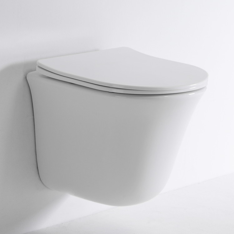 Compact Rimless Wall Hung Toilet Ceramic UF Seat Washdown Flush Small Size WC