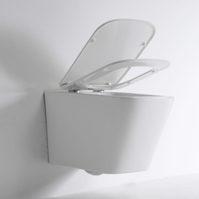 BF2417 Wall Hung Toilet 3/6L Washdown Ceramic WC with Soft Close UF Seat
