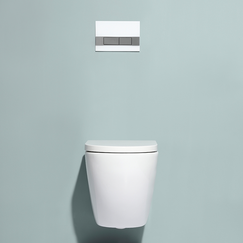 Wall-Hung Toilet Rimless Model: BF2469