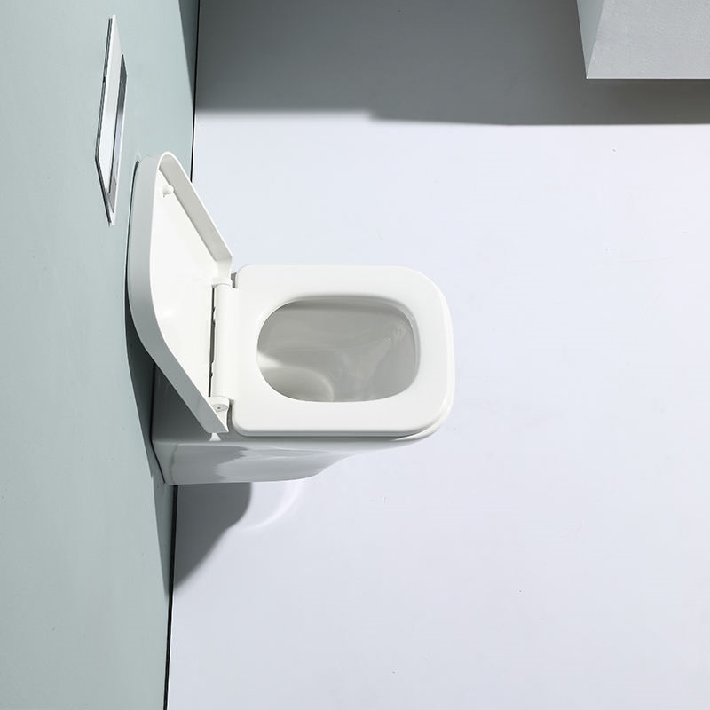 Wall-hung Toilet