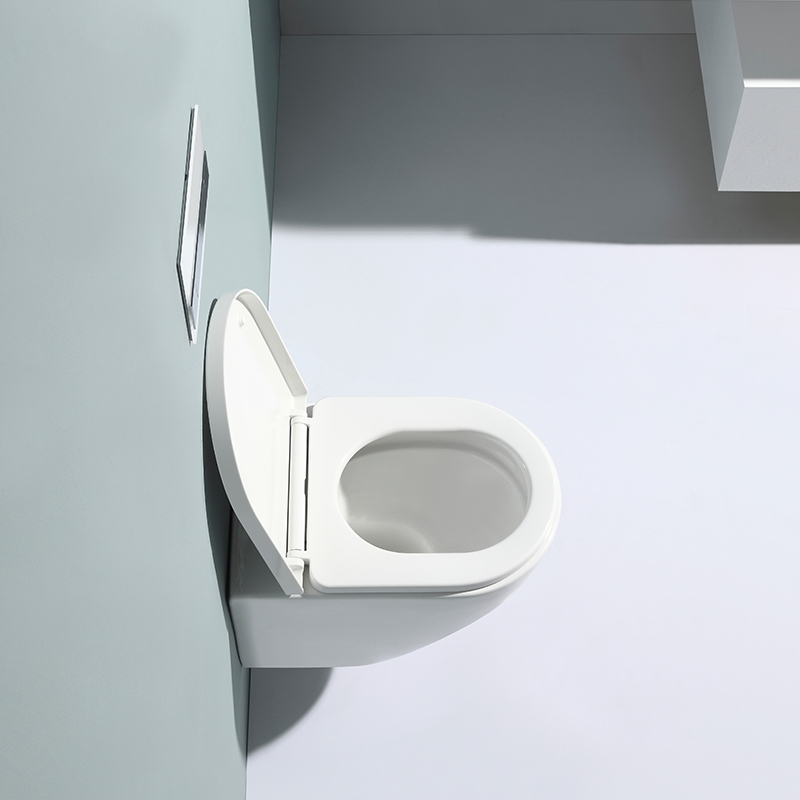 Modern Rimless Wall Hung Toilet Ceramic WC Soft Close Seat Dual Flush Washdown
