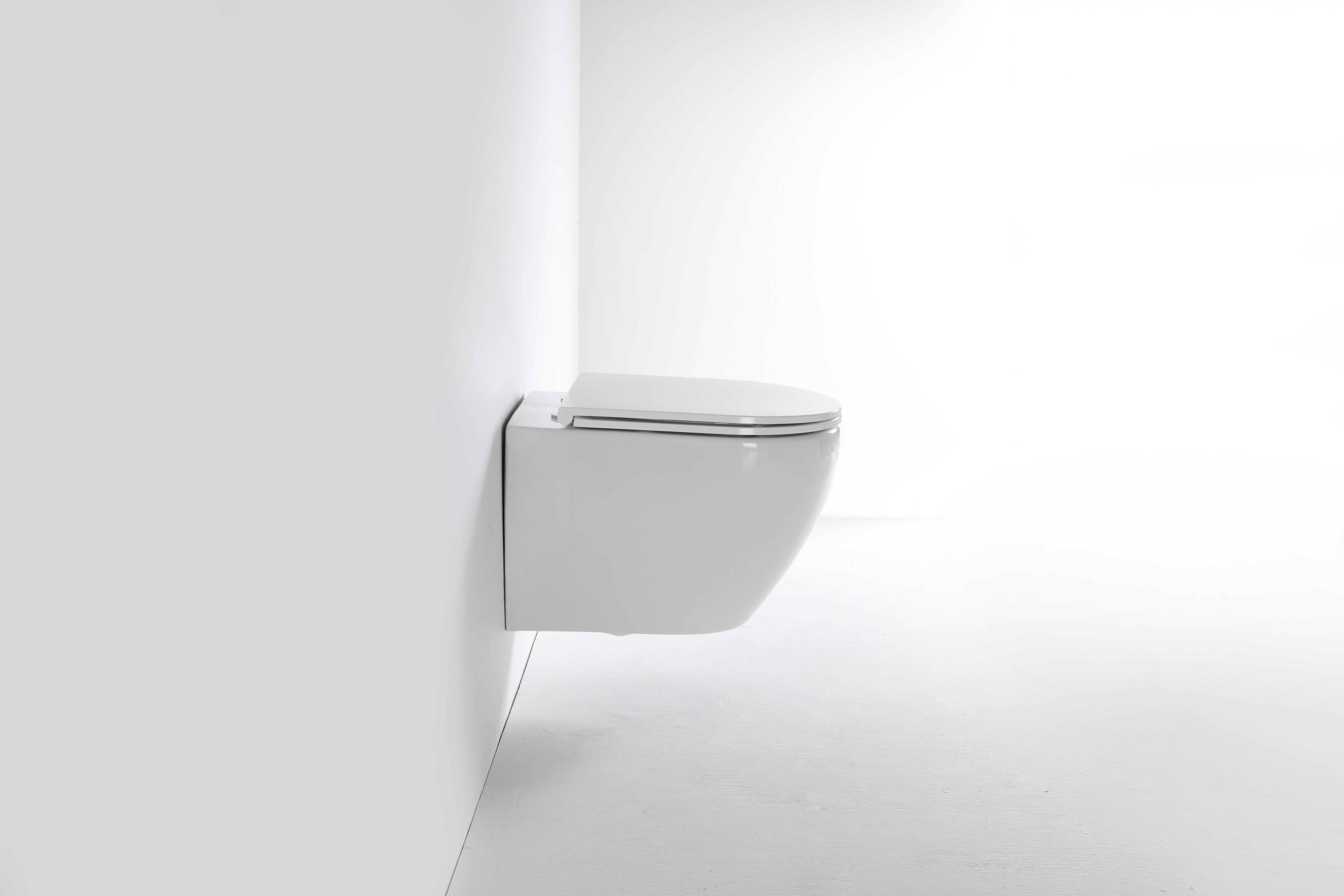 2479E-Toilette suspendue