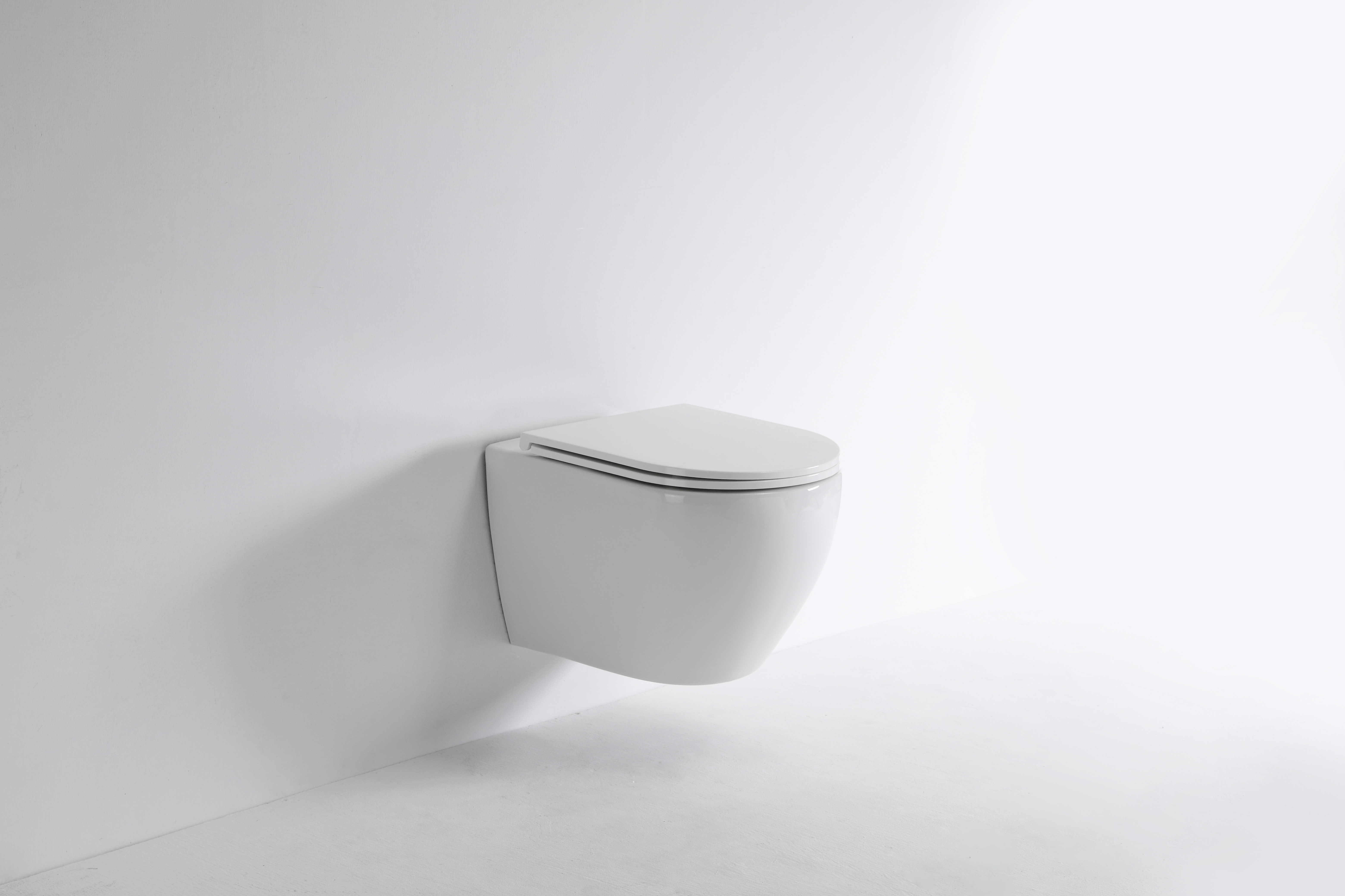 2479E-Toilette suspendue