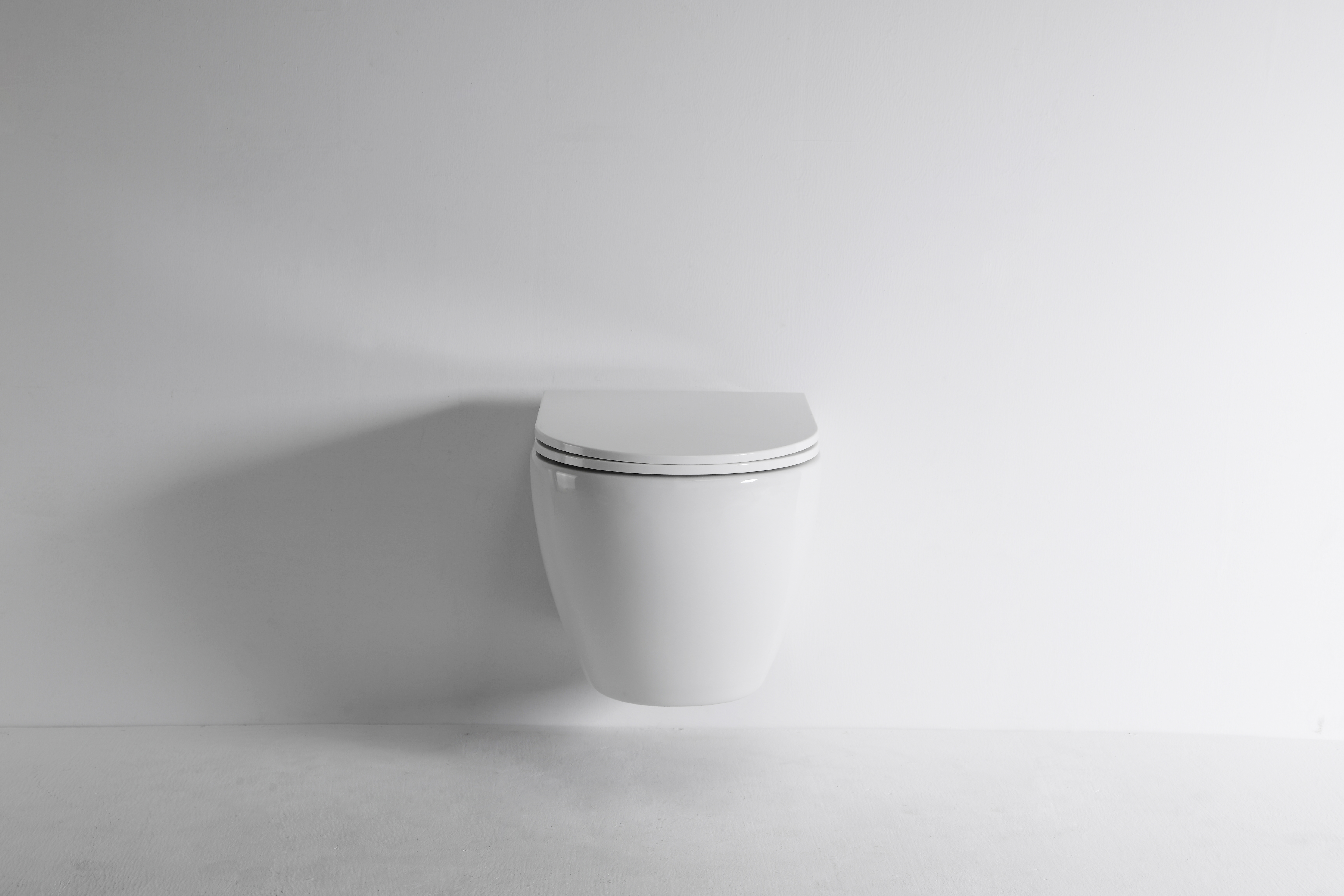 2479E-Toilette suspendue
